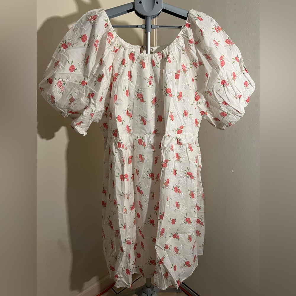 Plus Floral Embroidered Mini Dress- Endless Rose - Picture 5 of 11